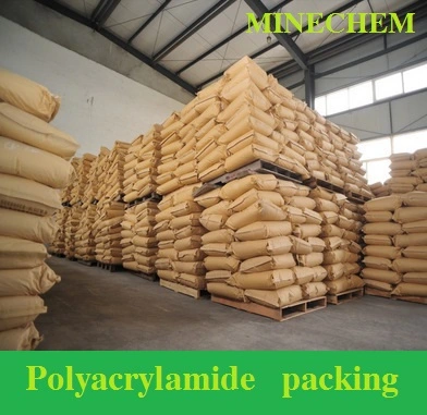 Water Treatment Flocculant Coagulant Powder Polyacrylamide PAM CAS No 9003-05-8